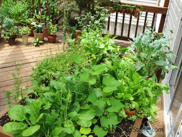 Garden salad table